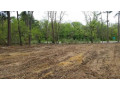 affordable-land-clearing-solutions-in-naples-sche-small-0