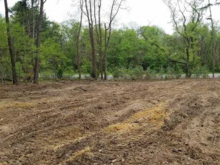 affordable-land-clearing-solutions-in-naples-sche