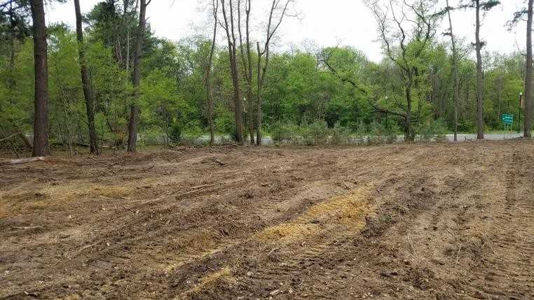 affordable-land-clearing-solutions-in-naples-sche-big-0
