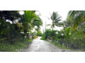 acres-land-for-sale-in-sangre-grande-small-0