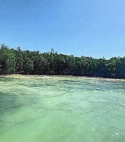 beachfront-island-property-4-acres-big-0