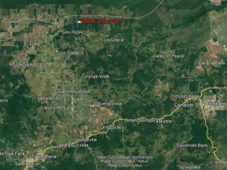 belize-agriculture-land-for-sale-250-acs