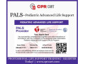 pediatric-advanced-life-support-certification-small-0
