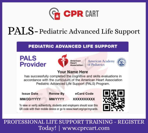pediatric-advanced-life-support-certification-big-0