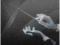 music-conducting-private-instruction-small-0