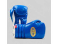 wicked-boxing-premium-boxing-mma-gear-for-all-levels-small-0