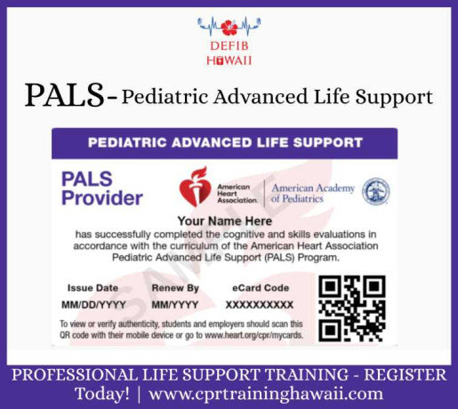 pals-certification-in-honolulu-aha-big-0