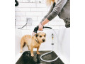 gentle-care-and-comfort-focused-pet-bath-small-0