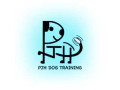 force-free-dog-training-nyc-reactivity-puppy-specialists-small-0