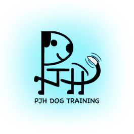 force-free-dog-training-nyc-reactivity-puppy-specialists-big-0