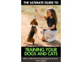transform-your-pet-s-behavior-in-just-days-small-0