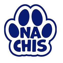 dog-grooming-services-in-tampa-nachis-big-0