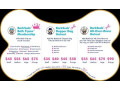 affordable-professional-dog-grooming-small-0