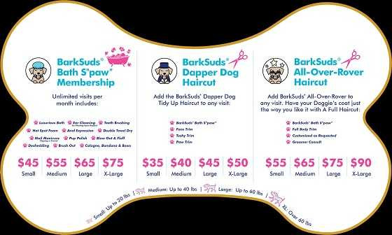 affordable-professional-dog-grooming-big-0