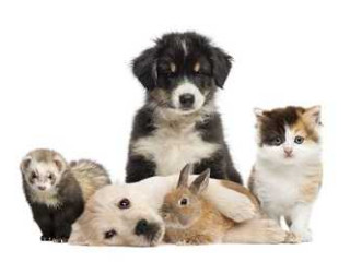 just-like-there-is-teledoc-services-available-we-have-it-fo