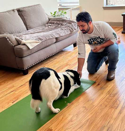 dog-training-for-reactive-dogs-big-0