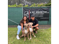 dog-training-hawaii-small-0