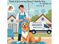 mobile-dog-groomer-fort-worth-solves-it-small-0