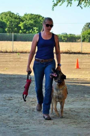 dog-aggression-training-fort-walton-beach-big-0