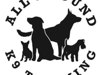 dog-training-in-san-antonio-tx