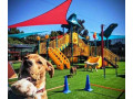 dog-training-grooming-services-small-0