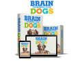 brain-training-for-dogs-unique-dog-training-course-small-0