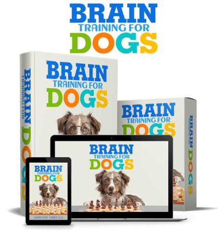 brain-training-for-dogs-unique-dog-training-course-big-0