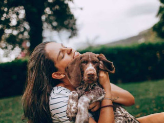 dog-training-in-charlotte-nc