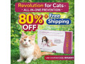 revolution-for-cats-all-in-one-prevention-80-off-free-shipping-small-0