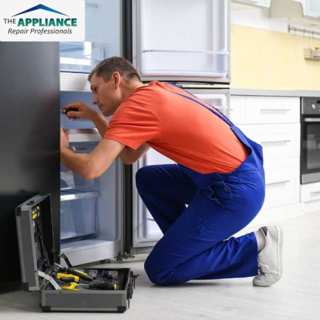 fast-and-friendly-electrolux-repairs-services-near-big-0