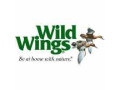 wild-wings-in-henderson-nv-small-0