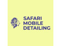 safari-mobile-detailing-small-0