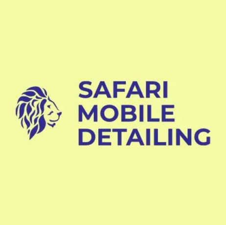safari-mobile-detailing-big-0