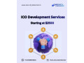 professional-ico-development-services-just-2500-small-0