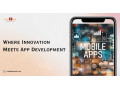 innovative-app-development-services-debtech-llc-small-0