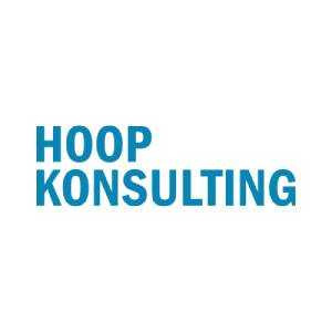 hoop-konsulting-ai-custom-software-development-services-big-0