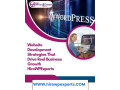 website-development-for-modern-brands-hirewpexperts-small-0
