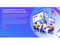 shopify-development-company-in-usa-amoni-small-0
