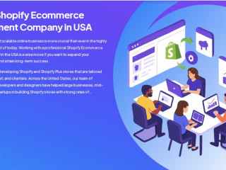 shopify-development-company-in-usa-amoni