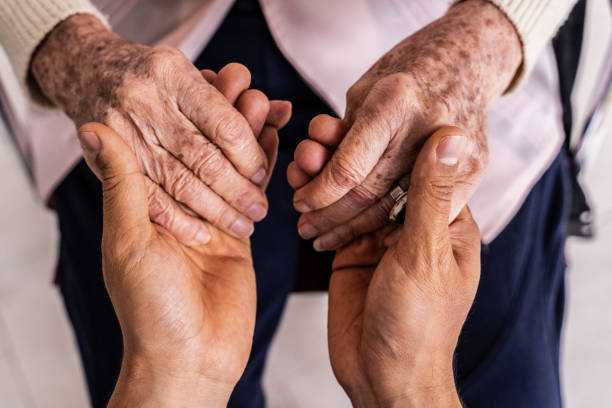 firstlight-home-care-of-napa-home-health-care-big-0