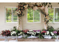 affordable-wedding-flowers-in-florida-elegant-budget-friendly-small-0