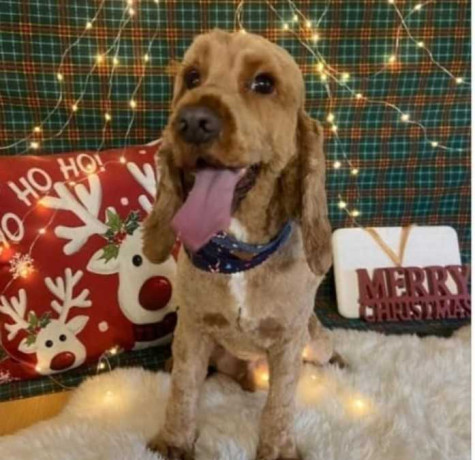 start-your-own-online-business-big-0