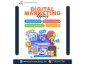 justo-consulting-the-best-seo-company-small-0