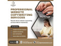 professional-website-copywriting-services-usa-small-0
