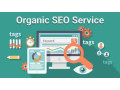 professional-organic-seo-marketing-company-services-small-0