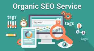 professional-organic-seo-marketing-company-services-big-0
