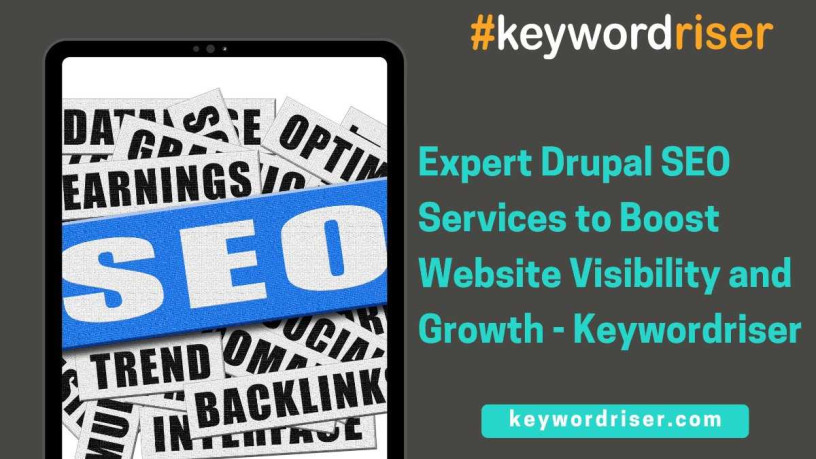 expert-drupal-seo-services-to-boost-website-visibility-and-g-big-0