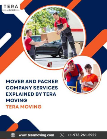 mover-and-packer-company-services-explained-by-tera-moving-big-0