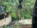 forest-mulching-for-property-maintenance-small-0