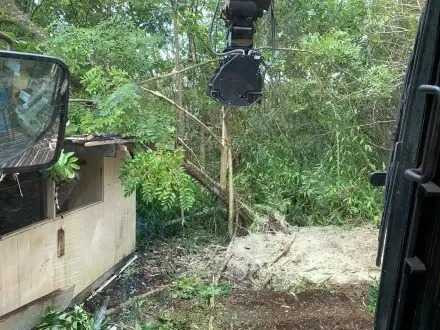 forest-mulching-for-property-maintenance-big-0